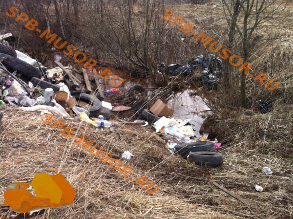 Незаконный вывоз мусора во Всеволожском районе ЛО