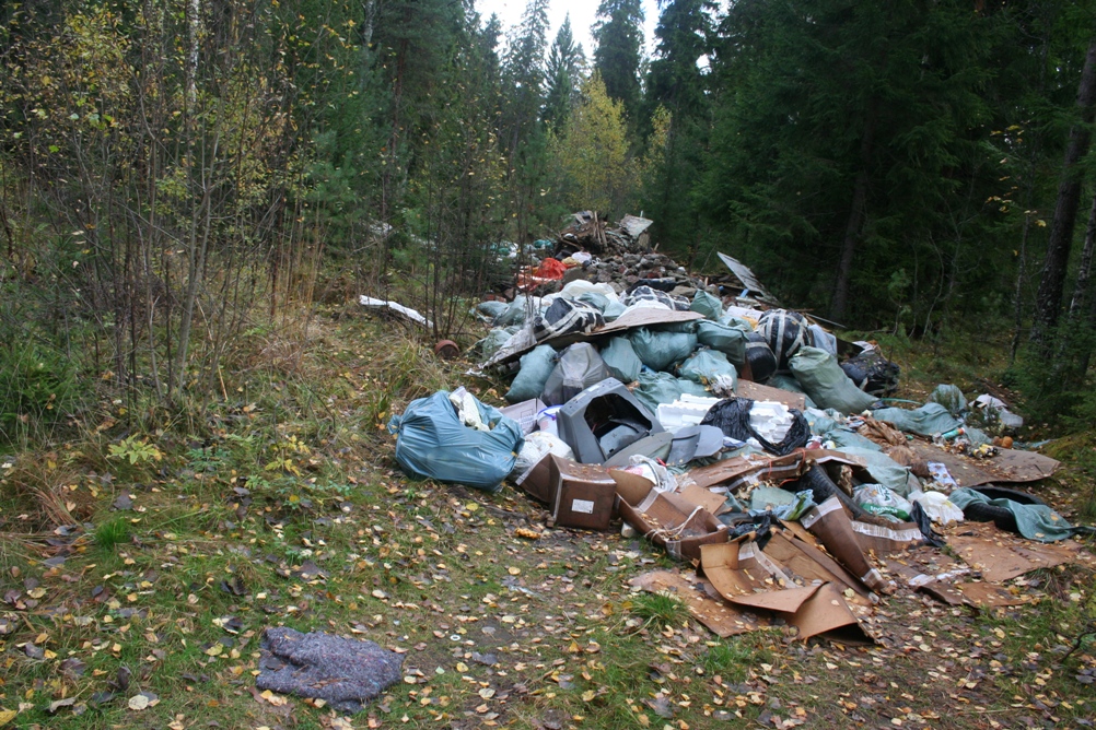 Незаконный вывоз мусора в Выборгском районе ЛО